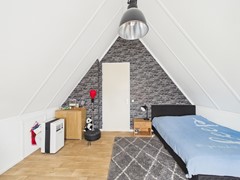 36. Kraanvogel 3  .jpg