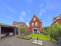 37. Kraanvogel 3 .jpg