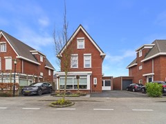 48. Kraanvogel 3 .jpg