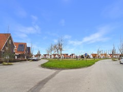 51. Kraanvogel 3 .jpg