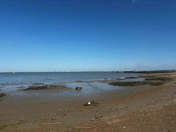 Medium property photo - Julianastraat 22, 4513 AZ Hoofdplaat