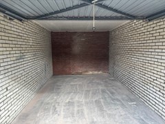 IMG_6286.jpg