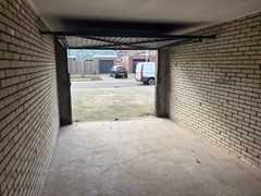 IMG_6289.jpg