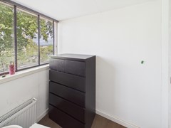 35. Knol 27.jpg