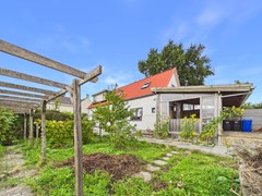 39. Knol 27.jpg
