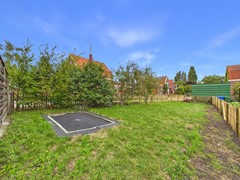 40. Knol 27.jpg
