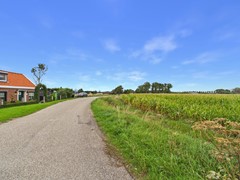 54. Knol 27.jpg