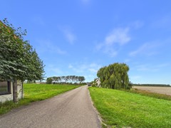 55. Knol 27.jpg