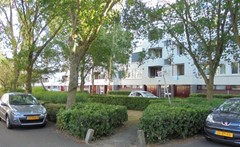 binnenterrein_7.JPG