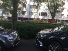 binnenterrein_5.JPG