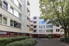 binnenterrein_4.JPG