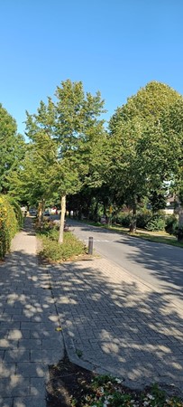 Medium property photo - Broekzijdselaan 15, 1391 XL Abcoude