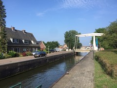 IMG_9378.JPG