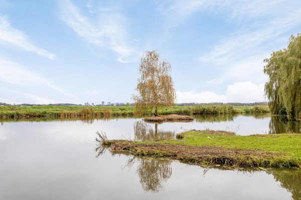 Rustig gelegen gezinswoning met vier slaapkamers en uitzicht op de singel & polder