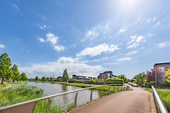 52. Laurus Melselaan 11 1D8A1586-HDR.jpg
