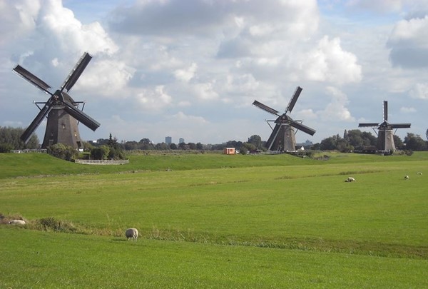Medium property photo - Regenboogforelvijver 6, 2492 MT Den Haag
