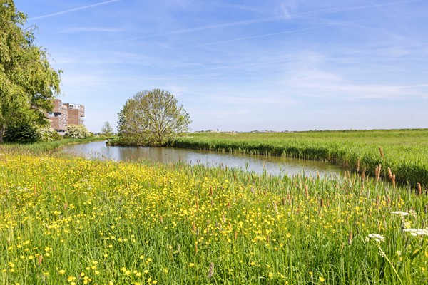 Medium property photo - Dodaarsoever 8, 2492 TA Den Haag