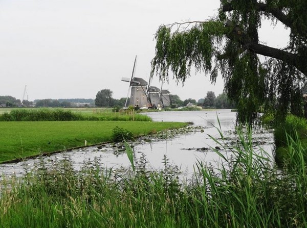 Medium property photo - Arenastraat 91, 2492 WZ Den Haag