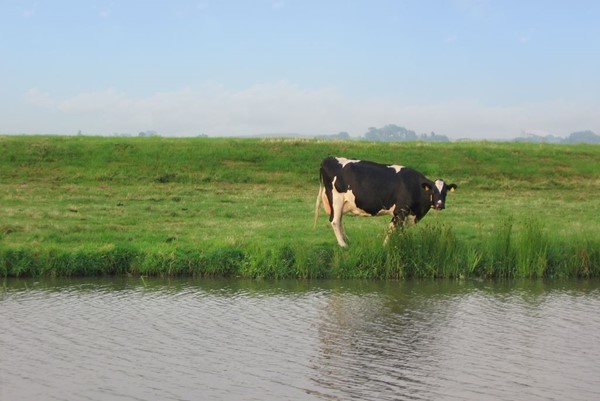 Medium property photo - Arenastraat 91, 2492 WZ Den Haag