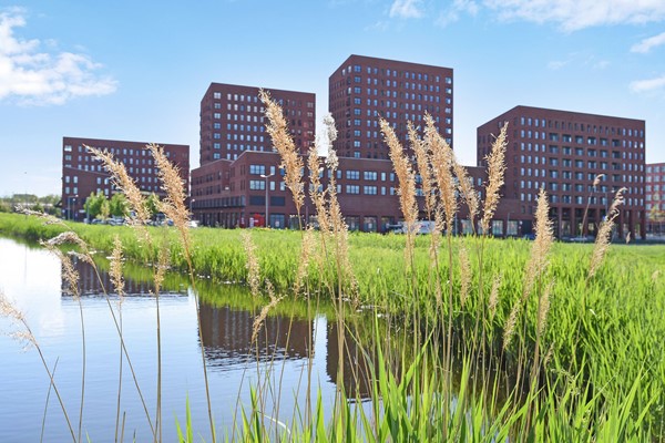 Medium property photo - Simon Carmiggelthof 176, 2492 JN Den Haag