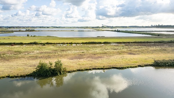 Medium property photo - Dodaarsoever 13, 2492 RZ The Hague