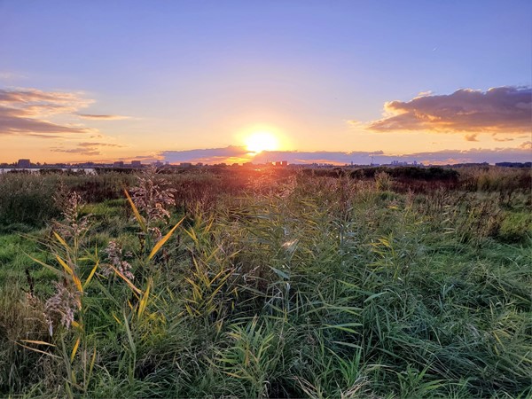 Medium property photo - Dodaarsoever 13, 2492 RZ The Hague