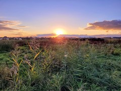 New for sale: Dodaarsoever 13, 2492 RZ The Hague