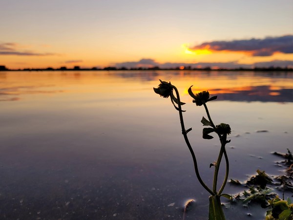 Medium property photo - Dodaarsoever 13, 2492 RZ The Hague