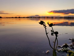 New for sale: Dodaarsoever 13, 2492 RZ The Hague