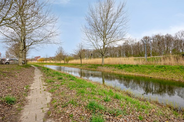 Medium property photo - Hoofpolderstraat 9, 2493 XD Den Haag