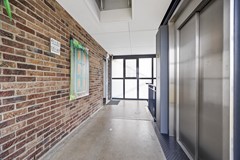 30. Dodaarsoever 41  1D8A0568.jpg