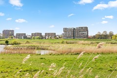 36. Dodaarsoever 41  1D8A0614.jpg