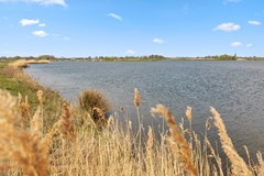 37. Dodaarsoever 41  1D8A0605.jpg