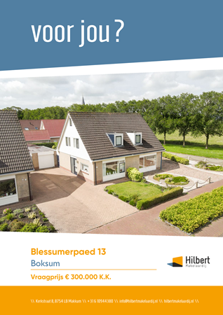 Brochure preview - Blessumerpaed 13, 9031 XM BOKSUM (1)