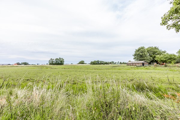 Medium property photo - Blessumerpaed 13, 9031 XM Boksum