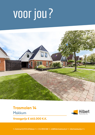 Brochure preview - Trasmolen 14, 8754 GX MAKKUM (1)