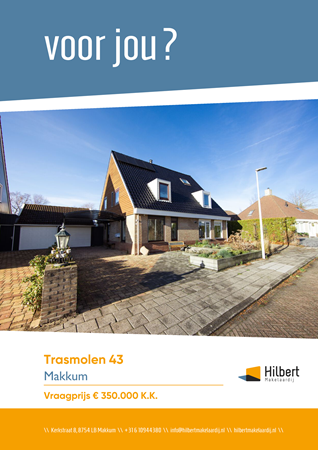 Brochure preview - Trasmolen 43, 8754 GL MAKKUM (1)