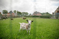 hilbert-makelaardij-ferwoude-buren-19-2.jpg