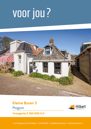 Brochure preview - Kleine Buren 3, 8749 GH PINGJUM (1)