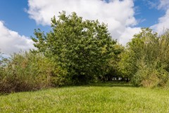 hilbert-makelaardij-papiermolenstreek-1-makkum-9.jpg