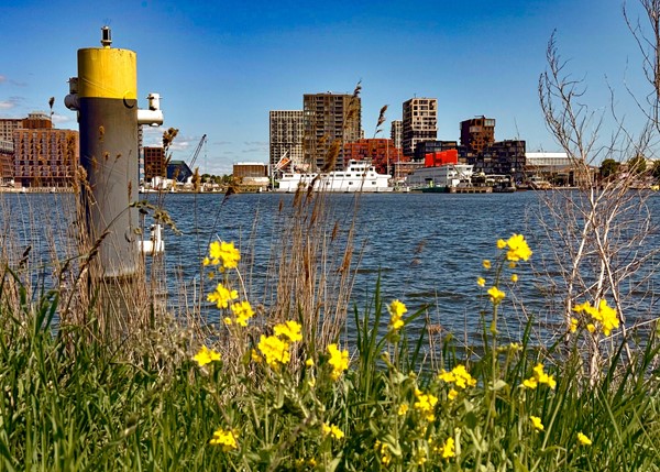 Medium property photo - Haparandadam 2F3, 1013 AK Amsterdam
