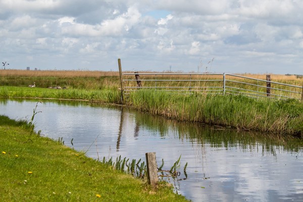 Medium property photo - Lisstraat 18, 1121 AP Landsmeer