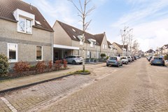 Bieslook275063EBOisterwijk-02.jpg