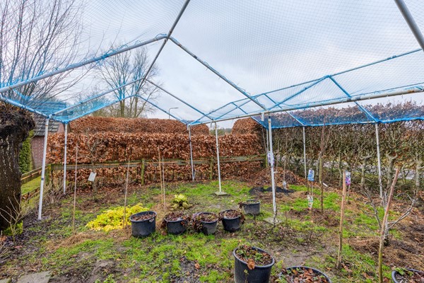 Medium property photo - Schoorstraat 39, 5071 RC Udenhout