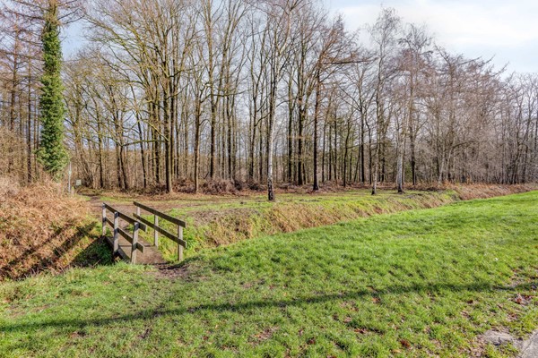 Medium property photo - Schoorstraat 39, 5071 RC Udenhout