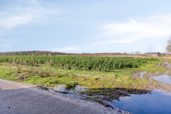 Medium property photo - Schoorstraat 39, 5071 RC Udenhout