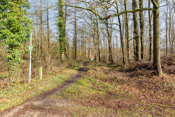 Medium property photo - Schoorstraat 39, 5071 RC Udenhout