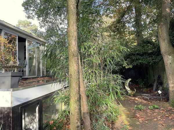 Medium property photo - Beelaertslaan 76, 6861 AZ Oosterbeek