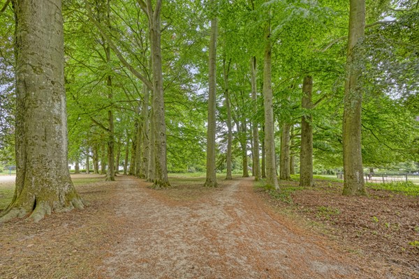 Medium property photo - Nieuwland 54, 6862 GD Oosterbeek