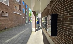20250509_151836.jpg